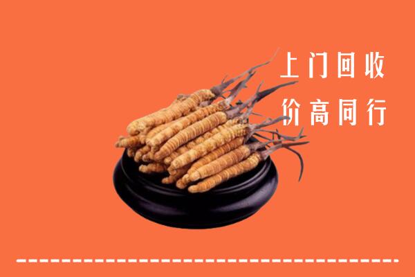 高价求购：泰州市海陵区回收散虫草