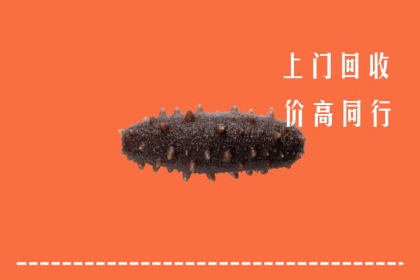 高价求购：泰州市海陵区回收海参
