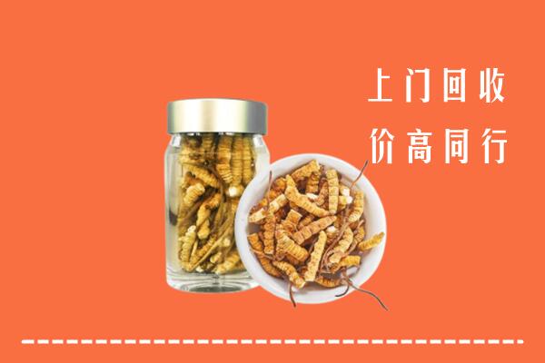 泰州市海陵区回收冬虫夏草