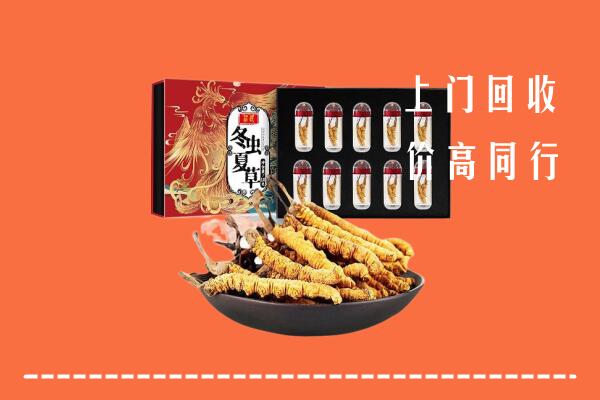 泰州市海陵区回收虫草